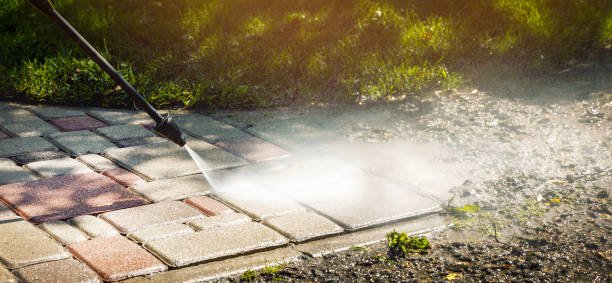 Best Solar Panel Cleaning  in Arden Hills, MN